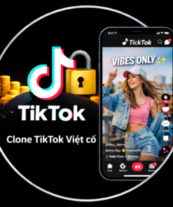 Tài khoản TikTok Việt Nam Reg New đến 1 Năm, đầy đủ gói VIP và Cực Trâu