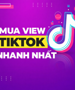 Dịch Vụ Tăng View TikTok Chất Lượng – Uy Tín, Đúng Cam Kết