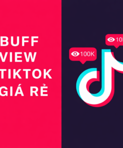Dịch Vụ Đẩy View TikTok Uy Tín – Chạy View Ổn Định, Không Rủi Ro