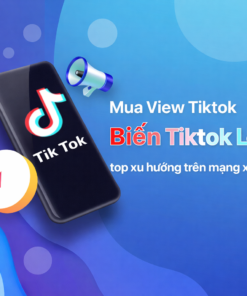 Buff View TikTok Giá Hời – Lên View Nhanh