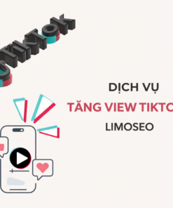 Dịch Vụ Tăng View TikTok Uy Tín – View Tăng Ổn Định, An Toàn Cho Kênh