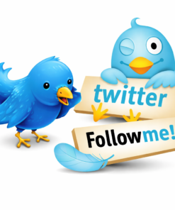 Dịch Vụ Kéo Follow Twitter (X) Hỗ Trợ Xây Dựng Thương Hiệu